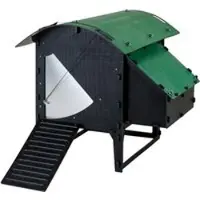 Nestera Lodge - Kippenhok - 4 tot 6 kippen - Zwart/Groen - 136x99x100 cm - M