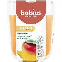 Bolsius 4 stuks geurglas mango geurkaarsen 97/85 (45 uur) True Scents