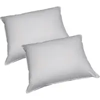 Slaap Vaak Actie-Kussen | 2-Pack | Bamboe Hoofdkussen | 800 Gram | Anti-Bacterieel | Ademend | Koel in de zomer | 60x70 cm | Wit