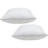 Slaap Vaak Klaas Vaak Hoofdkussen Set (2 Stuks) - Puntkussen - Dreampearls - 60x60 cm (BE) - Wit