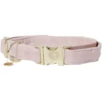 Kentucky Dogwear - Velvet Hondenhalsband - Lichtroze - Maat XS - 25-38cm - Hondenriem