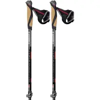 Masters Training Speed Nordic Walking stokken Rood