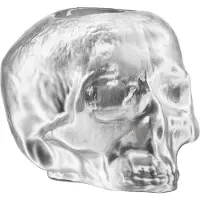 Kosta Boda Still Life Waxinehouder schedel metallic zilver