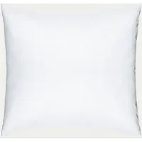 Linum Binnenkussen 40x40 Cm Wit - Binnenkussens Veren White - 27FEA04000I01