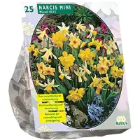 Baltus Narcis Mini Mix - 1 x 25 bloembollen