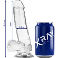 X RAY Xray Clear Cock With Balls - Dildo met Ballen - met Zuignap - Transparante Siliconen - 18.5 x 3.8cm