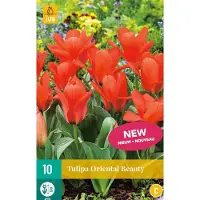 Jub holland Tulp Oriental Beauty - 10st - Bloembollen -
