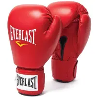 Everlast Amateur Competition Fight Artificial Leather Boxing Gloves Rood 10 oz