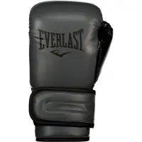 Everlast Powerlock 2r Training Glove, Charcoal 16-OZ