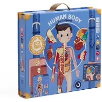Eurekakids Human Body Magnetic Multi Language Veelkleurig Kinderen