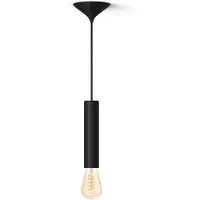 Philips Hue Bundel: Zwarte Large Pendellamp Koord - 3d Geprint Voor Filamentlampen + Warm Tot Koelwit Licht St72 Edison Filamentlamp