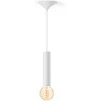Philips Hue Bundel: Witte Large Pendellamp Koord - 3d Geprint Voor Filamentlampen + Warm Tot Koelwit Licht G93 Globe Filamentlamp