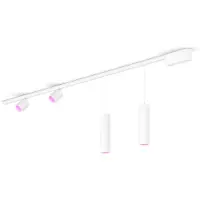 Philips Hue Perifo Basisset Voor Recht Plafond (2 Spots, 2 Hanglampen)