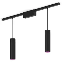 Philips Perifo Basisset Voor Recht Plafond (2 Hanglampen)