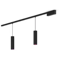 Philips Perifo Basisset Voor Recht Plafond (2 Hanglampen)