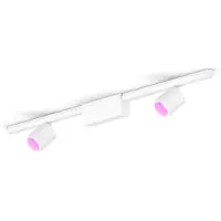 Philips Perifo Basisset Voor Recht Plafond (2 Spots)