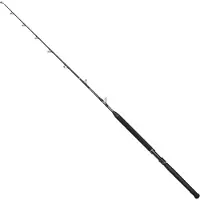 Penn Marine Brigade Trolling Baitcasting Hengel