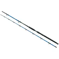 Wizard Cat Pro Power Catfish Rod Zilver 3.00 m / 800-1000 g