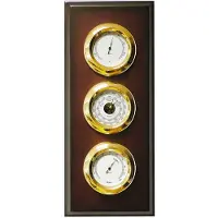 Autonautic Instrumental Brass Gold Pacific Series Emt Weather Station Panel Goud 120 mm