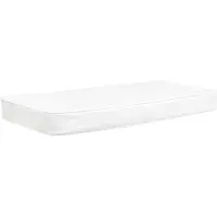 PLASTIMO Fridge Cushion 94l Transparant