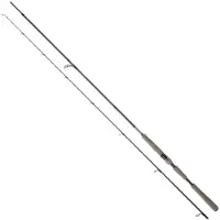 Daiwa Saltist Ags Iii Spinning Rod Zwart 2.52 m / 10-35 g