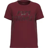Pepe Jeans Bria T-shirt Met Korte Mouwen