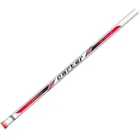Colmic Carter Bottom Shipping Rod Zilver 2.70 m / 300 g