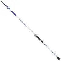 Tubertini Boater Carpfishing Rod Zilver 2.70 m / 200 g