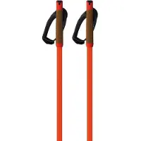 Fischer Storm Gtx M Stokken