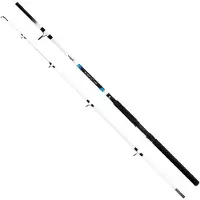 Kamasaki Cat Catfish Rod Transparant 3.00 m / 100-300 g