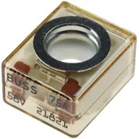 Blue Sea Systems Terminal Fuse Transparant 125A