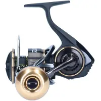 Daiwa Bg Mq Ark 2020 Spinning Reel Zwart 6000 D H