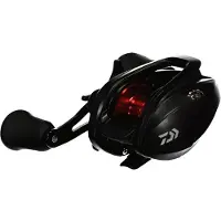Daiwa Pr Baitcasting Reel Zilver Ratio: 6.3:1