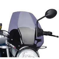 Puig Carenabris New Generation Sport Bmw R1200r Voorruit