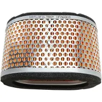 Hiflofiltro Triumph Hfa6503 Luchtfilter