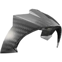 LS2 Ff805 Carbon Ece Helm Achterspoiler