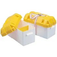Prosea Big Battery Box Transparant