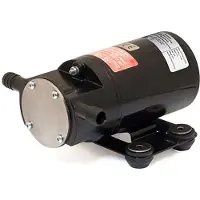 Johnsons F2p10-19 15l/min Pump 24v Zilver 172 x 117 x 78 mm