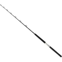 Daiwa Sealine X Slxtr5080agbf Trolling Rod Zilver 1.75 m / 100 Lbs