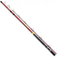 Colmic Rider Catfish Rod Goud 2.40 m / 750 g