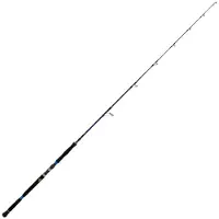 Xzoga Takadum-pi Spinning Rod Zilver 2.26 m / 250 g