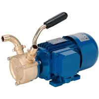 Liverani Ep40 Self-priming Pump 24v Zilver