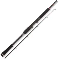 Herakles Huge Xx Catfish Rod Zilver 2.10 m / 10-60 g