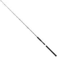 Daiwa Legalis Jigging Rod Zilver 1.96 m / 180 g