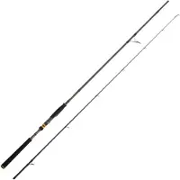 Cinnetic Raycast Xbr Shore Jigging Rod Zilver 3.00 m / 40-120 g