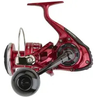 Daiwa Bg Rr Ark Jigging Reel Zwart 8000 P