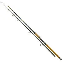 Wizard Monster Catfish Rod Goud 2.20 m / 500-700 g