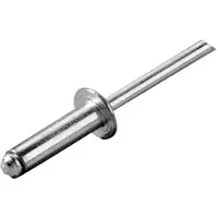 Oem Marine Stainless Steel Rivet 100 Units Zilver 4 x 14 mm