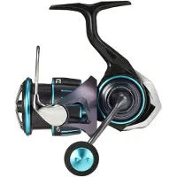 Daiwa Emeraldas Rx Lt 2023 Spinning Reel Zilver 2500