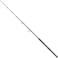 Penn Marine Brigade Offshore Spinning Rod Zilver 2.44 m / 20-150 g